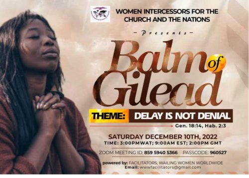 whatsapp image 2023 01 17 at 11.45.57 pm 3