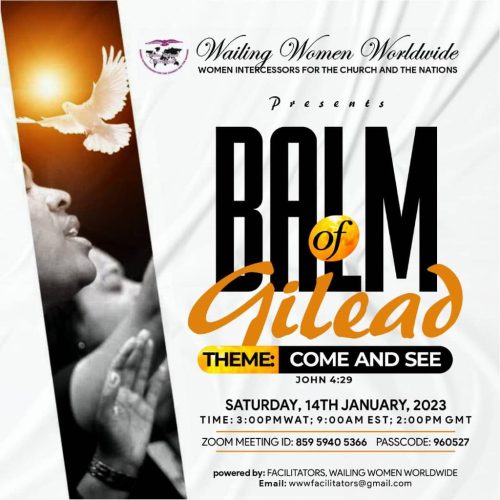 whatsapp image 2023 01 17 at 11.45.58 pm 3